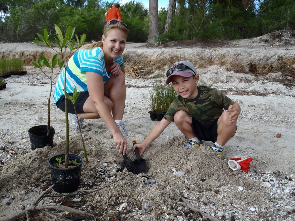 Mangrove Re-Planting