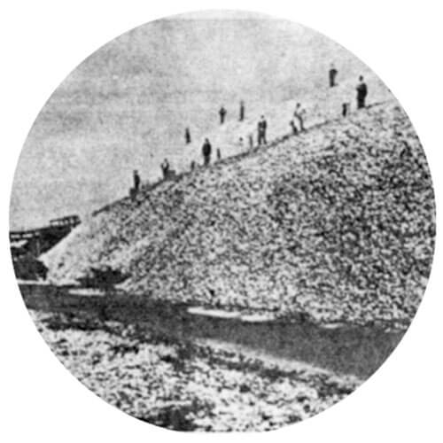 historic image harvesting oysters