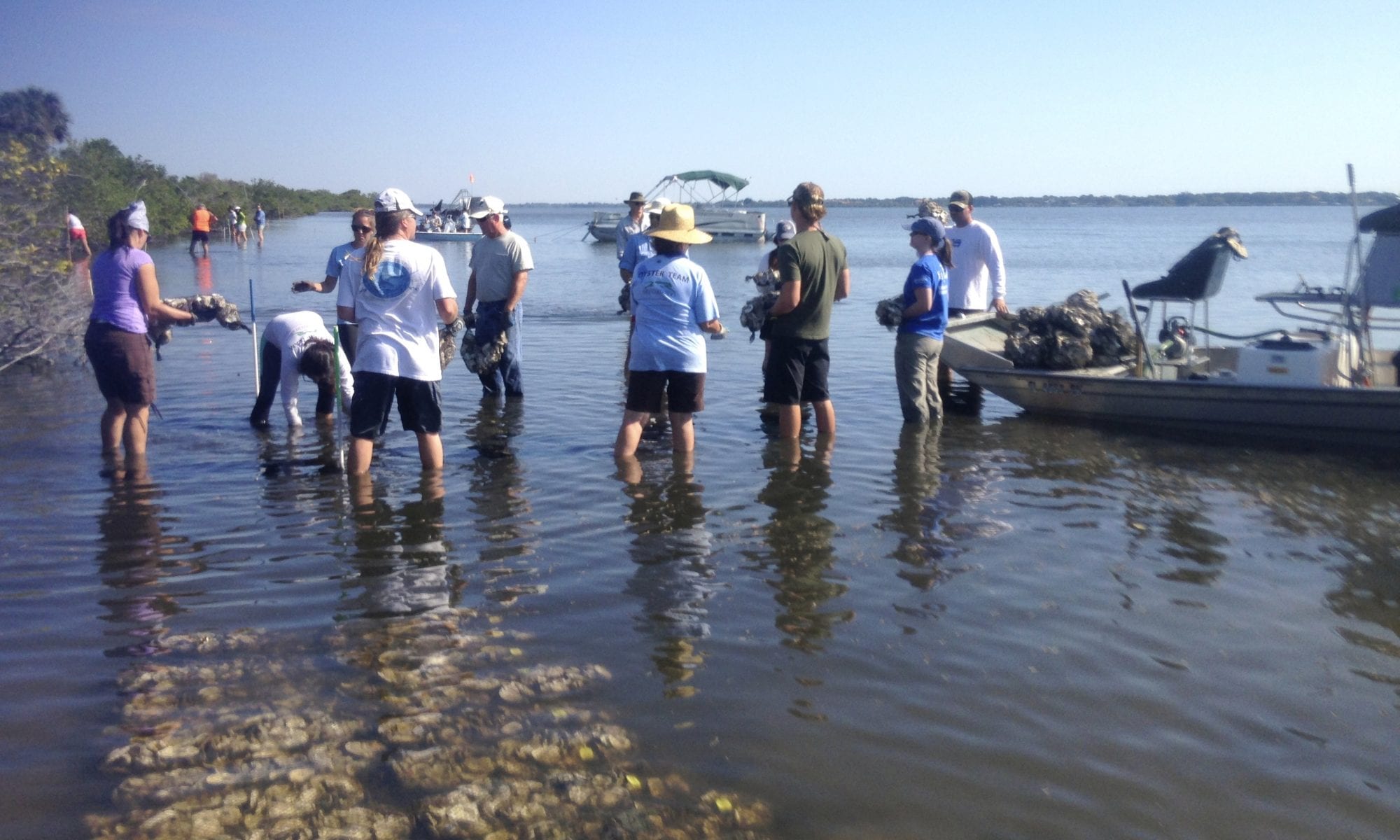 Volunteers Building Reef