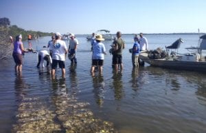 Volunteers Building Reef