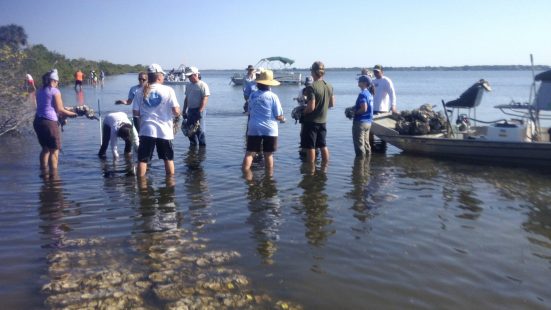 Volunteers Building Reef