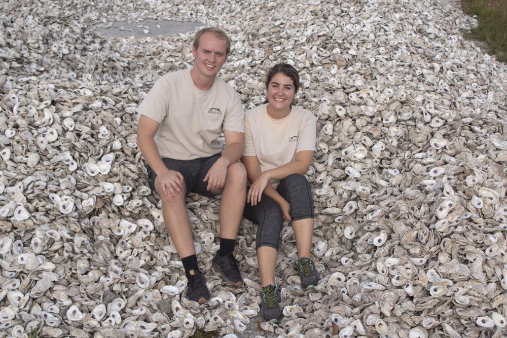 shuck-and-share-oyster-shells oyster shells for shuck and share program