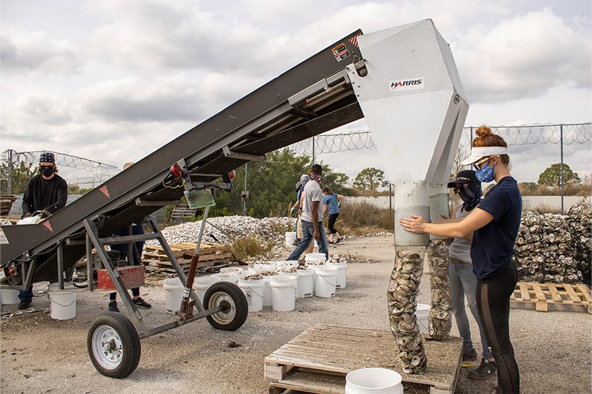 Oyster Reefs - Restore Our Shores