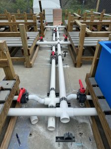 White PVC Plumbing for seagrass nursery